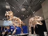 特別展「恐竜博2023」に投稿された画像（2023/4/15）