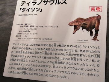 特別展「恐竜博2023」に投稿された画像（2023/4/15）