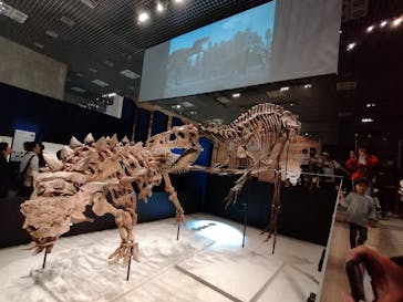 特別展「恐竜博2023」に投稿された画像（2023/4/15）