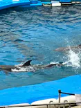 仙台うみの杜水族館に投稿された画像（2023/4/15）
