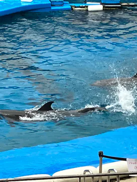 仙台うみの杜水族館に投稿された画像（2023/4/15）