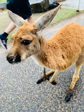 神戸どうぶつ王国に投稿された画像（2023/4/15）