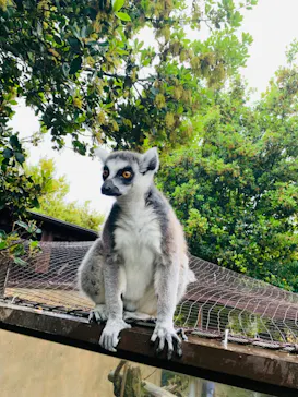神戸どうぶつ王国に投稿された画像（2023/4/15）
