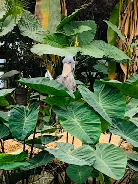 神戸どうぶつ王国に投稿された画像（2023/4/15）