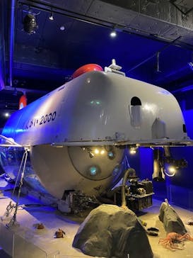 新江ノ島水族館に投稿された画像（2023/4/15）