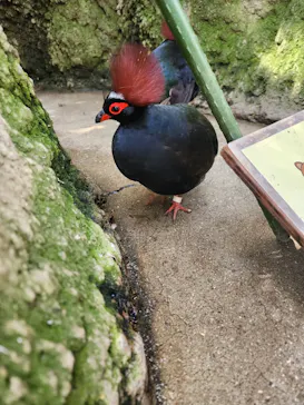 神戸どうぶつ王国に投稿された画像（2023/4/15）