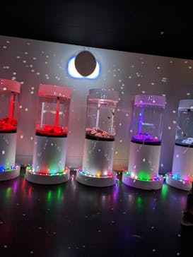 NARA KINGYO MUSEUMに投稿された画像（2023/4/15）