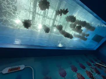 仙台うみの杜水族館に投稿された画像（2023/4/15）