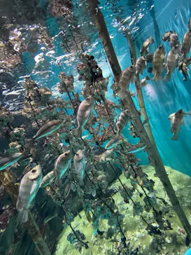仙台うみの杜水族館に投稿された画像（2023/4/15）