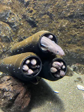 仙台うみの杜水族館に投稿された画像（2023/4/15）