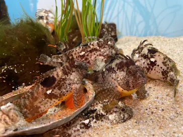 仙台うみの杜水族館に投稿された画像（2023/4/15）