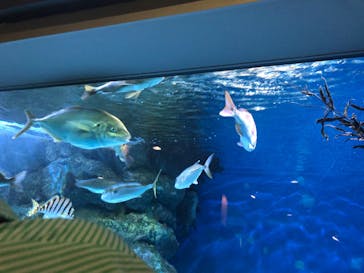 名古屋港水族館に投稿された画像（2023/4/15）