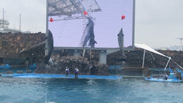 名古屋港水族館に投稿された画像（2023/4/15）