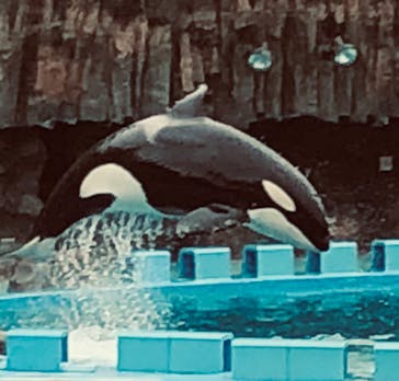 名古屋港水族館に投稿された画像（2023/4/15）