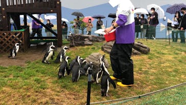 名古屋港水族館に投稿された画像（2023/4/15）