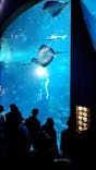 新江ノ島水族館に投稿された画像（2023/4/15）