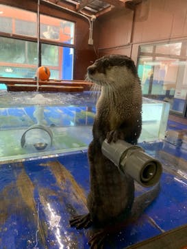 ゼロ距離水族館 伊勢シーパラダイスに投稿された画像（2023/4/15）