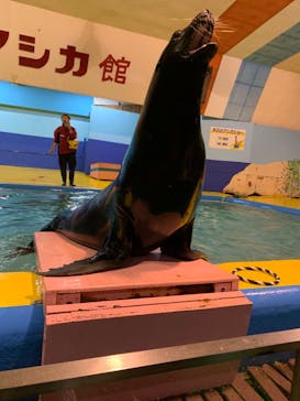 ゼロ距離水族館 伊勢シーパラダイスに投稿された画像（2023/4/15）