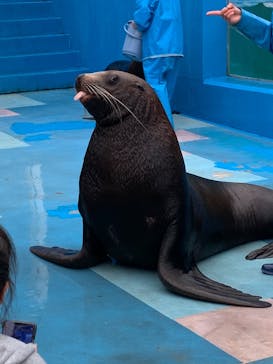 ゼロ距離水族館 伊勢シーパラダイスに投稿された画像（2023/4/15）