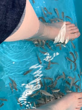 ゼロ距離水族館 伊勢シーパラダイスに投稿された画像（2023/4/15）