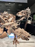 特別展「恐竜博2023」に投稿された画像（2023/4/15）