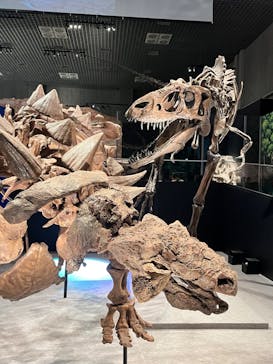 特別展「恐竜博2023」に投稿された画像（2023/4/15）