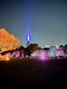 NAKED 桜の新宿御苑 2023に投稿された画像（2023/4/15）
