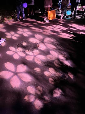 NAKED 桜の新宿御苑 2023に投稿された画像（2023/4/15）