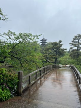 三溪園に投稿された画像（2023/4/15）