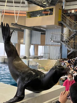 アクアワールド茨城県大洗水族館に投稿された画像（2023/4/15）