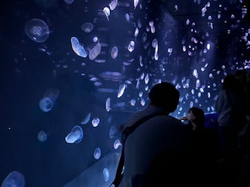 サンシャイン水族館に投稿された画像（2023/4/15）