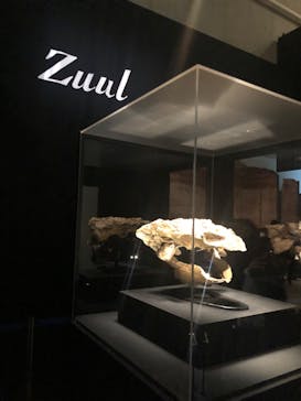 特別展「恐竜博2023」に投稿された画像（2023/4/15）