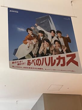 ハルカス300(展望台)に投稿された画像（2023/4/15）