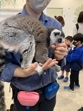 アニタッチみなとみらいに投稿された画像（2023/4/15）