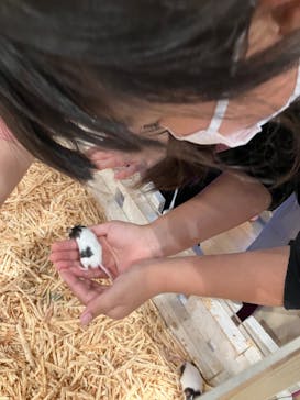 アニタッチみなとみらいに投稿された画像（2023/4/15）