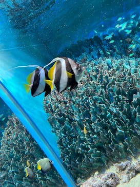 サンシャイン水族館に投稿された画像（2023/4/15）