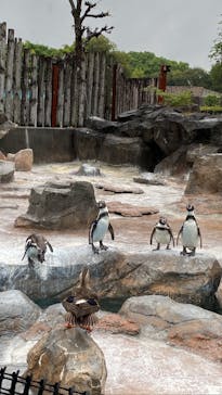 東武動物公園に投稿された画像（2023/4/15）