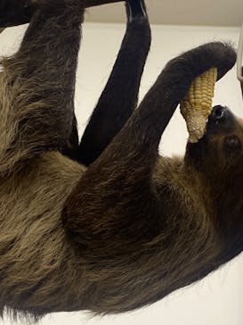 しろとり動物園に投稿された画像（2023/4/15）