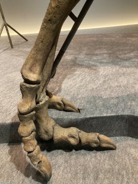 特別展「恐竜博2023」に投稿された画像（2023/4/15）