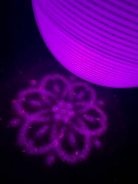 NAKED 桜の新宿御苑 2023に投稿された画像（2023/4/15）