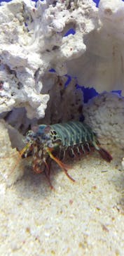 サンシャイン水族館に投稿された画像（2023/4/15）