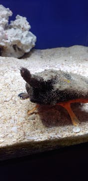 サンシャイン水族館に投稿された画像（2023/4/15）