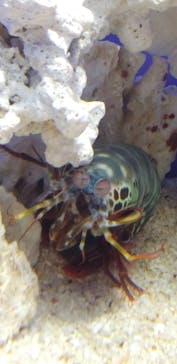 サンシャイン水族館に投稿された画像（2023/4/15）