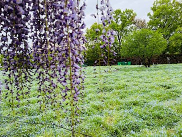 特別展「毒」に投稿された画像（2023/4/15）