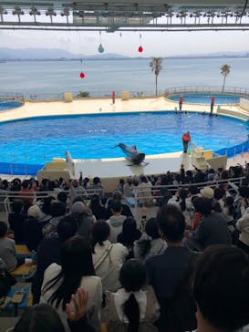 マリンワールド海の中道に投稿された画像（2023/4/15）