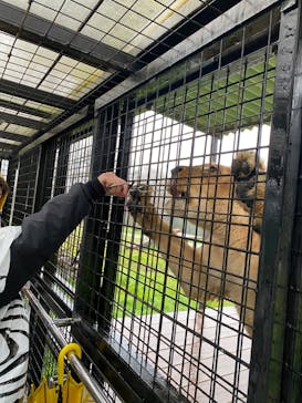 那須サファリパークに投稿された画像（2023/4/15）