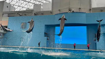 横浜・八景島シーパラダイスに投稿された画像（2023/4/16）