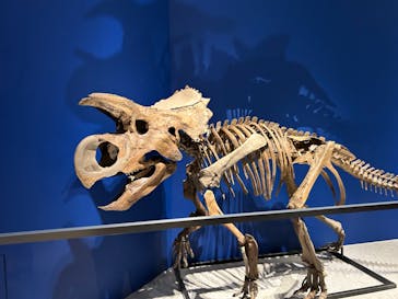 特別展「恐竜博2023」に投稿された画像（2023/4/16）