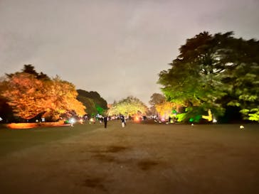 NAKED 桜の新宿御苑 2023に投稿された画像（2023/4/16）