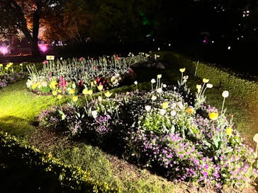 NAKED 桜の新宿御苑 2023に投稿された画像（2023/4/16）